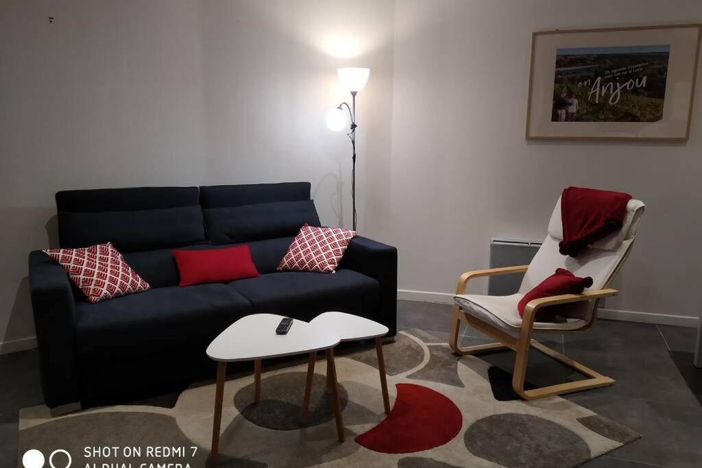 Vakantiehuis Jolie Maison En Tuffeau Dans Le Centre De